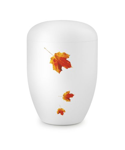 Fall in Leaves – 2/1F