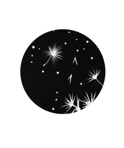 Edition Karat 3460 fekete urna fehér pitypang motívummal, biológiailag lebomló, elegáns és méltóságteljes választás urnafalba vagy emlékerdőbe