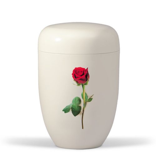 H3833R krémfehér acél urna száras rózsa motívummal