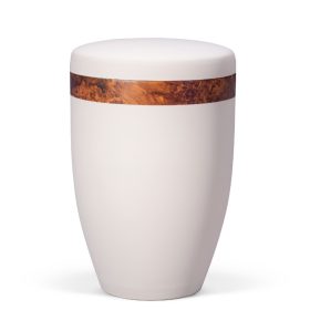 H6265 bézs acél urna juharfa hatású díszítőszalaggal